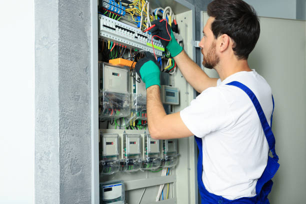Best Electric Panel Repair  in Lake Arbor, MD