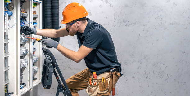 Best Electric Panel Repair  in Lake Arbor, MD